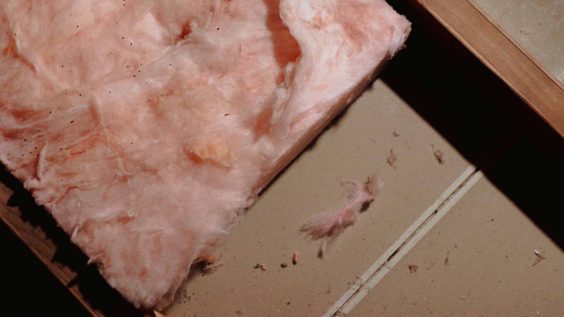 A Pink Batt lies between to ceiling joists after the Scheme was cancelled.